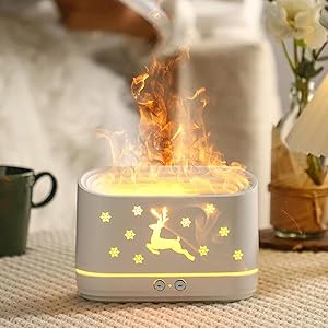 Flame Humidifier