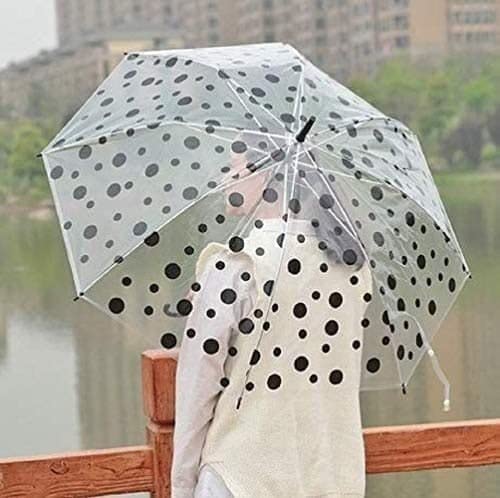 Palka Dot Umbrella