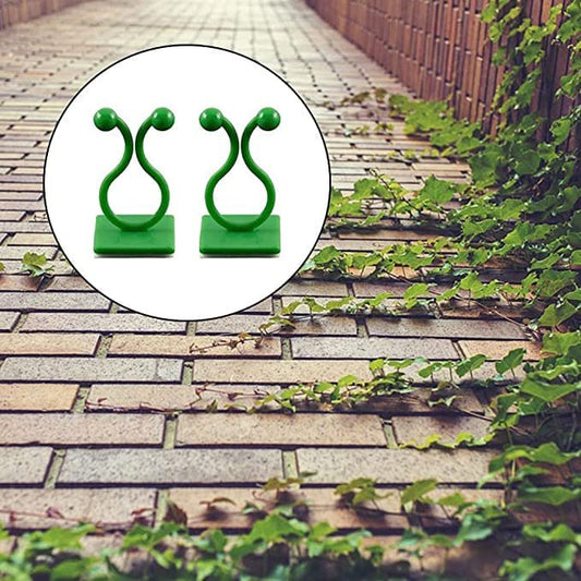 Plant Wall Clip (Set Of 30)