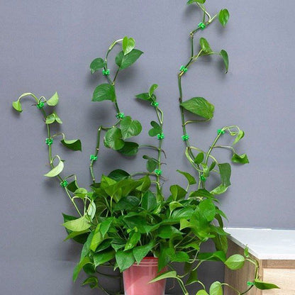 Plant Wall Clip (Set Of 30)