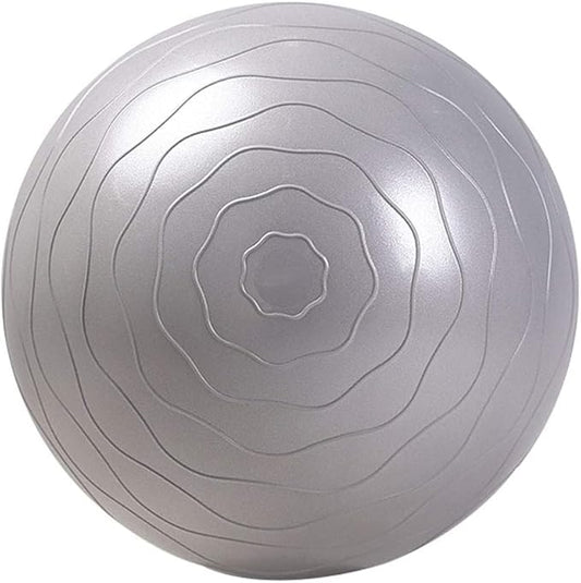 Gym Ball for Exercise & 65cm Anti-Burst Fitness Ball