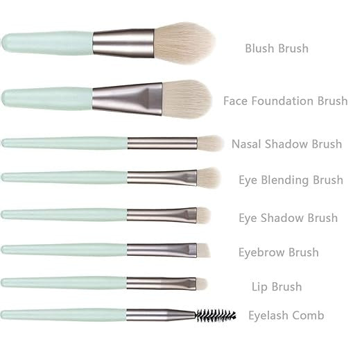 8 PCS Makeup Brush Set with Bag | Soft Professional Cosmetic Brushes for Face & Eye Makeup