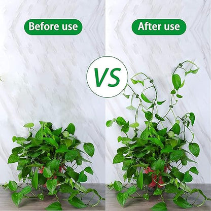 Plant Wall Clip (Set Of 30)