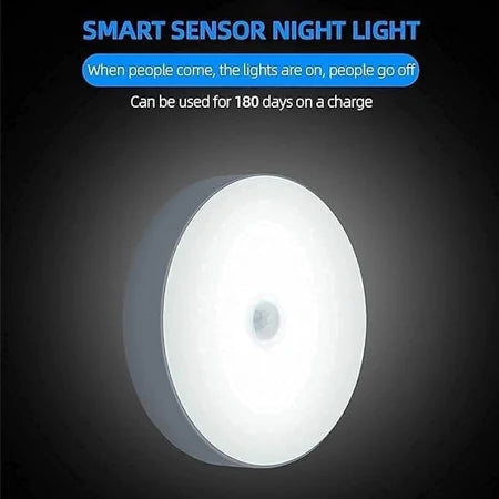 Motion Sensor Light